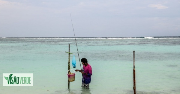 Conferência dos Oceanos: “Os oceanos permitem-nos sobreviver”, diz ministra do Ambiente das Maldivas
